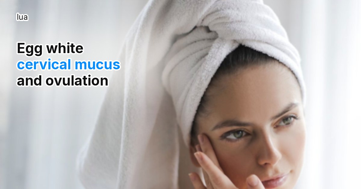 Egg white cervical mucus: what it says about ovulation