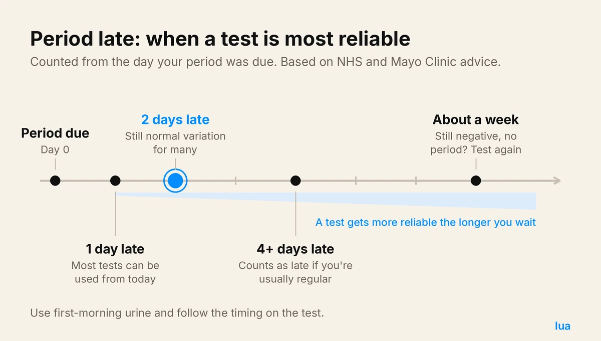 Timeline from period due to about a week late: most tests work from the first missed day, 2 days late is often normal, and a test gets more reliable the longer you wait.